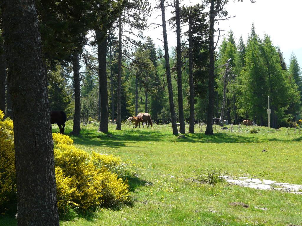 Font Romeu Via Font-Romeu-Odeillo-Via Quarto foto